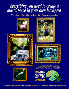 Buffalo Spree Ad